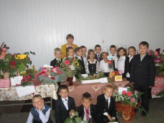 Виставка квітів